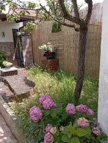Shanti Ca' detached house with garden - Image 5