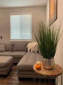 Brand New Guest Suite! 15 minutes to UC Davis - Image 2