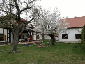 Zur alten Fahrschule - Image 2