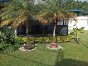 Beautiful House for up to 14 people in Atlixco day/weekend - Image 5