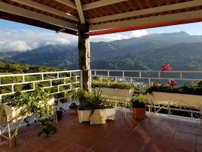 Breathtaking view, cozy abode and abundant nature - Image 2