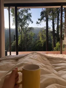 White Gum House - Pure Valley - Image 5