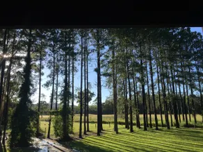 Rainforest Birdhouse - teak cabin on 40 acres - Image 4