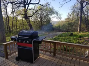 Beautiful Cabin overlooking Lake Tenkiller - Image 5