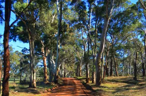 On the edge of Rocklands Reservoir, 4 bedroom home - Image 3