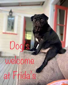 Frida's by the Sea Beach House - Image 2
