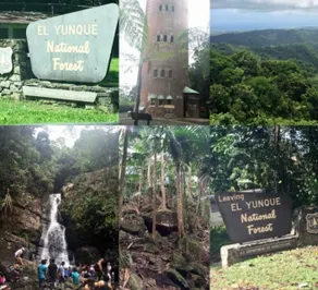 Charming and Cozy House in P.R 8 min to Rainforest - Image 2