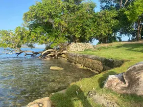 Peaceful beachfront 4 bedroom house for rental - Image 5