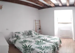 Charming apartment in La Granja. New. - Image 3