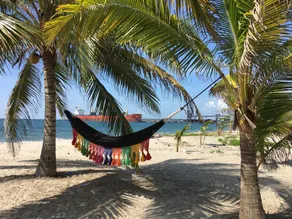 Oceanfront cabin, with private beach. - Image 4