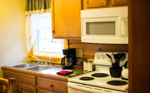 AAodge Suite with Kitchen and Fireplace - Image 2