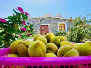 Jabal Shams Villa - Image 2