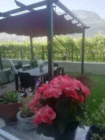 Lovely Falù apartment with garden among the vineyards - Image 3