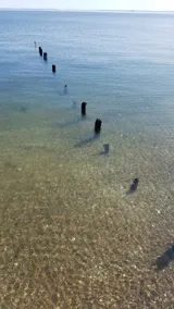 Casual Coastal Escape - Image 3