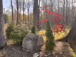Shabin Cabin - a Cozy Retreat in Laurel Highlands - Image 3