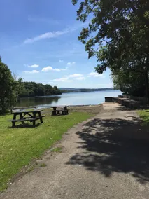 Kits Lodge Crover - Image 5