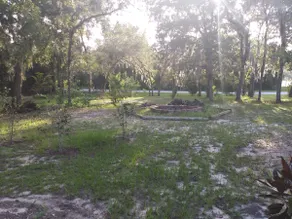 Homosassa R&R Getaway - Image 4