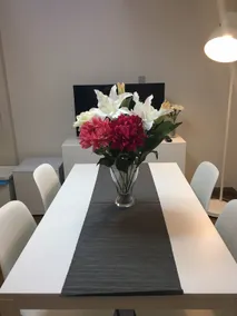 March limited time early bird campaign! Private lodging with free Narita airport transfer! Apartment in Narita 225 - Image 5