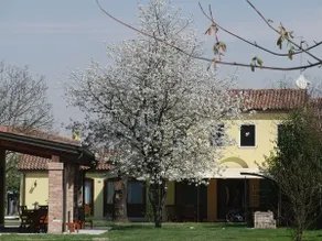 Details of Brenta - Apt Chiara near Venice - Image 5