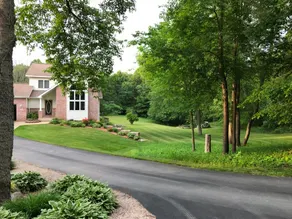 Halls Woods - Image 2
