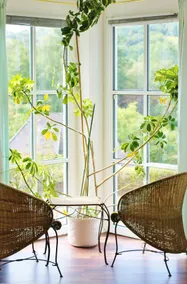 Beautiful apartment at the castle park - Image 3