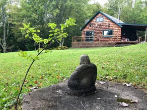 Private Cabin Retreat on 10 Acres! - Image 5