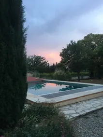 The Ribias Olive Grove - Image 4