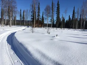 Pleasant Valley Outdoor Cabin on Yukon Quest Trail - Image 3