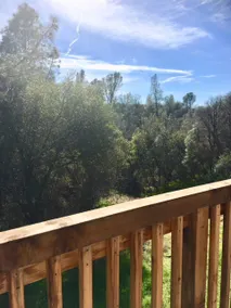 Beautiful, upstairs, treehouse like view - Image 4