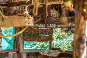 Shipwrecked Cabin - Image 3