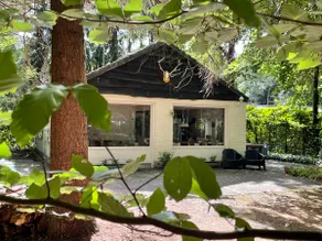 Quirky Forest House - Image 3