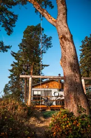 Historic Discovery Bay Beach Cabin Stunning Views - Image 2