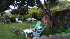 LA FAYA - Image 3