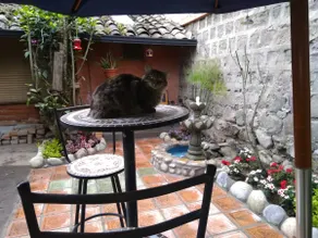 Cottage Kikimba- Private house in beautiful garden - Image 3