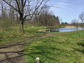 Honeoye Hidden Gem! - Image 5