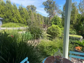 Birdsnest, garden cottage nestled near Launceston - Image 4
