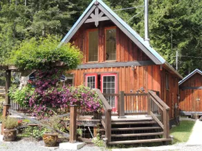 Private forest, disc golf, outdoor bath tub, - Image 4