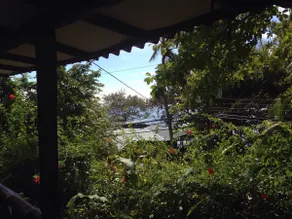 Palmeras Beach cottage in Montezuma - Image 3