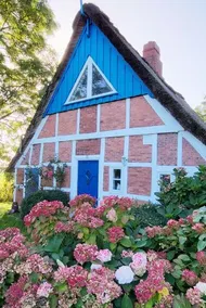 The blue thatched cottage by the dike - Image 2