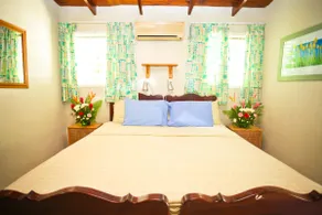 Mystic Rose Apartment - Paynes Bay, St. James - Image 4
