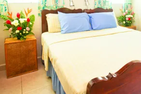 Mystic Rose Apartment - Paynes Bay, St. James - Image 3