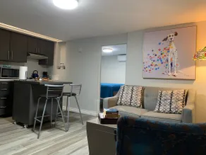 Cozy 1-bedroom apartment in Zona Dorada - Image 4
