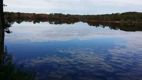 Privates, geräumiges und Haus am Wasser auf Cape Cod - Image 2
