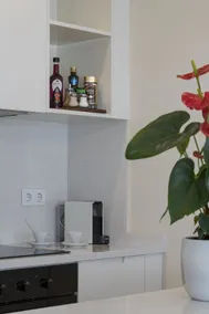 Unique Apartment in Traditional Neighborhood - Image 2