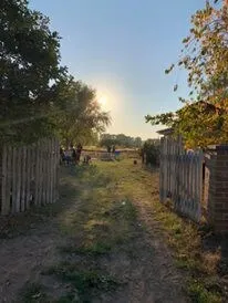 House in the middle of nowhere - Image 2