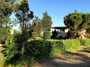 Strofilia Farm House, Kalogria! The Sea, The Forest, The Sun - Image 2