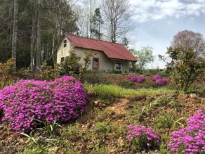 Scenic cottage on a farm - ”Annastasia's Retreat” - Image 2