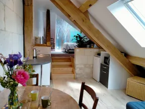 Cozy accommodation near Beauval Zoo and Loches Castle - Image 2