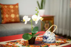 Endless Service Apartment 1 BHK - Image 3
