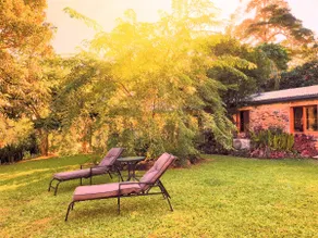 Palm Grove Rainforest Retreat - Image 5